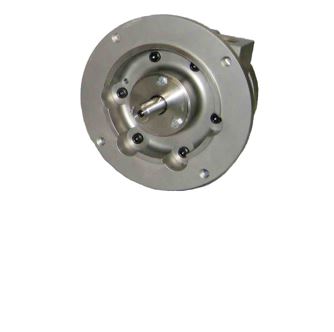 Stainless Steel Vane Globe Air Motor